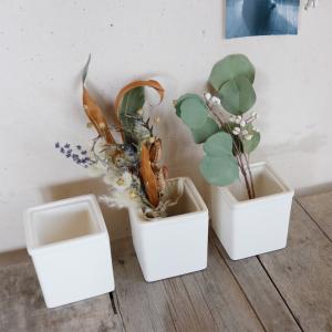 パセリ 植木鉢 白 (ベージュ) / キッチン...の詳細画像1