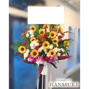 【夏限定!8/31まで】【カラフルおまかせのみ...の詳細画像1