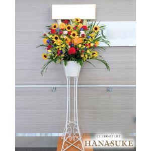 【夏限定!8/31まで】【カラフルおまかせのみ...の詳細画像2