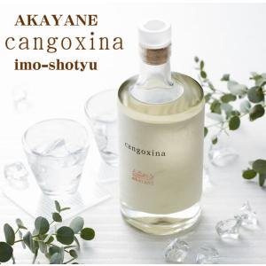 父の日 焼酎 芋焼酎 ギフト 【数量限定】AKAYANE cangoxina（カンゴシナ）芋焼酎 40° 500ML｜hanatareya