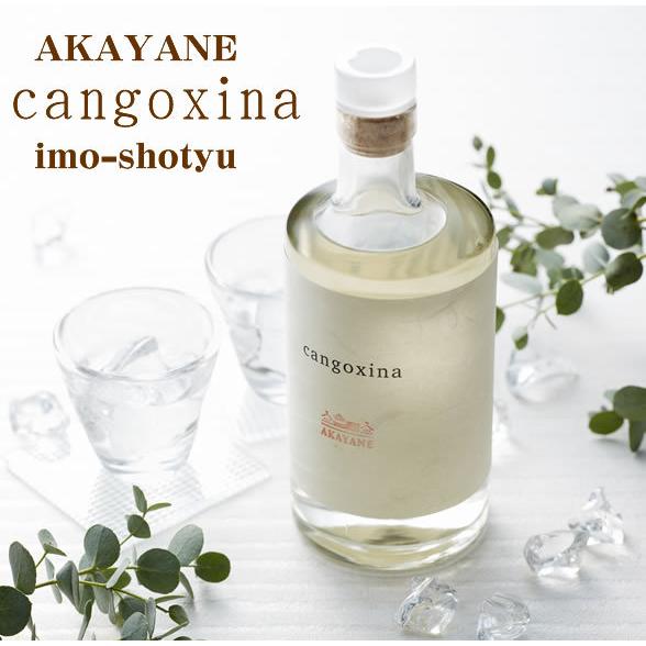 父の日 焼酎 芋焼酎 ギフト 【数量限定】AKAYANE cangoxina（カンゴシナ）芋焼酎 4...