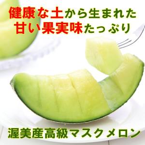 メロン 贈答 プレゼント 渥美半島 健康な土か...の詳細画像1