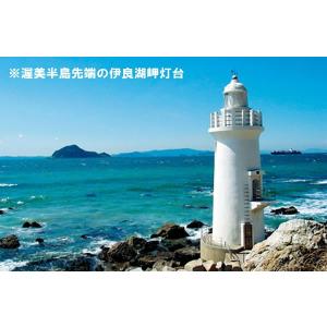 メロン 贈答 プレゼント 渥美半島 健康な土か...の詳細画像3