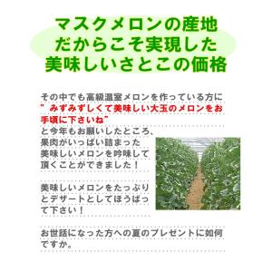 メロン 贈答 プレゼント 渥美半島 健康な土か...の詳細画像5