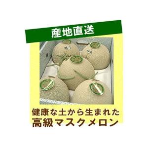 メロン 贈答 プレゼント 渥美半島 健康な土から生まれた渥美産高級