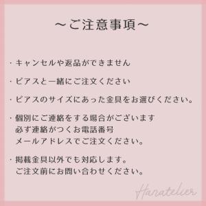 イヤリング&ノンホール加工 200円、300円...の詳細画像1