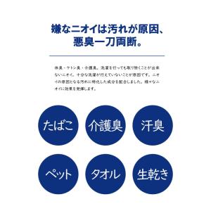 悪臭 -akushu- 一刀両断 500g 介...の詳細画像4