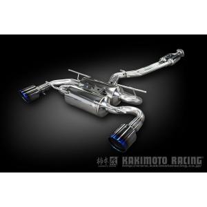 オートエクゼ AutoExe プレミアムテールマフラー デミオ DJ5FS 旧品番