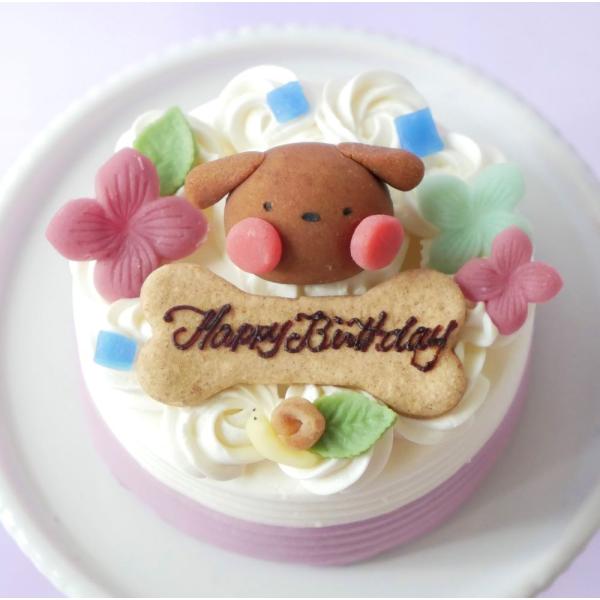 犬　ケーキ　紫陽花のショートケーキ　犬用ケーキ　猫用ケーキ　期間限定　人気　おすすめ　誕生日　お祝い...