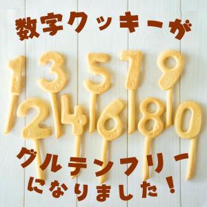 犬用ケーキ 猫 誕生日 無添加 乳糖フリー 「...の詳細画像4