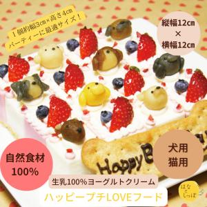 犬　ケーキ　ハッピーキャレ ピュアなレアチーズケーキ　犬用ケーキ　猫用ケーキ　おやつ　お誕生日　無添加　人気　おすすめ　フードケーキ　アレルギー　　｜hanatoshippo