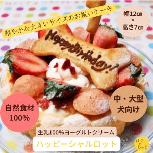 犬　ケーキ　ハッピーシャルロット　犬用ケーキ　猫用ケーキ　おやつ　お誕生日　　無添加　人気　おすすめ　フードケーキ　アレルギー　　　