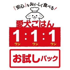 「 お試しパック 愛犬ごはん1:1:1 」 国産 自然食材100％