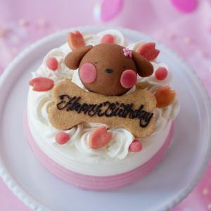 犬用ケーキ　春限定　桜のショートケーキ　犬　ケーキ　猫用ケーキ　期間限定　人気　おすすめ　お誕生日　お祝い　記念日　アレルギー　かわいい　映える