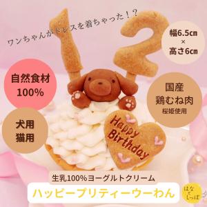 犬用ケーキ 誕生日 ハッピープリティーウーわん 犬 誕生日ケーキ 猫用ケーキ ごはん おやつ 無添加 人気 おすすめ フードケーキ アレルギー ドッグフード　　