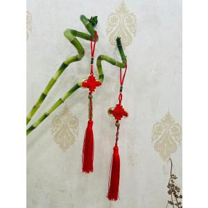 ミリオンバンブー 万年竹 生花 約50cm前後 3本セット ※花瓶はついて