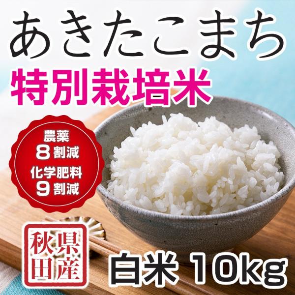 白米 令和7年産 秋田県産 あきたこまち 特別栽培米 10kg 【2月28日発送】農薬8割減 化学肥...