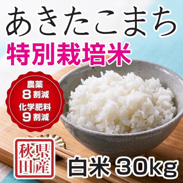 白米 令和7年産 秋田県産 あきたこまち 特別栽培米 30kg 【2月28日発送】農薬8割減 化学肥...