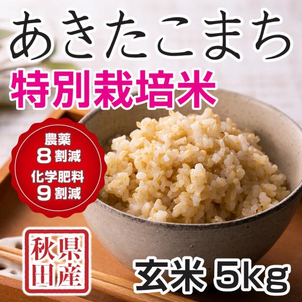 玄米 令和7年産 秋田県産 あきたこまち 特別栽培米 5kg 【2月28日発送】農薬8割減 化学肥料...