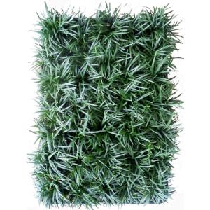 ガーデニング 葉物 リュウノヒゲ /玉竜/竜のひげ