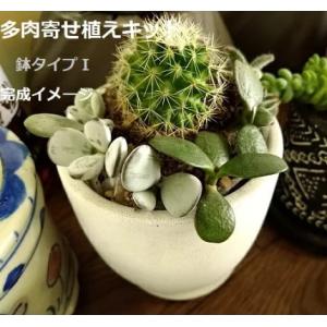 サボテンの土 サボテン 多肉植物 の商品一覧 花 ガーデニング 通販 Yahoo ショッピング