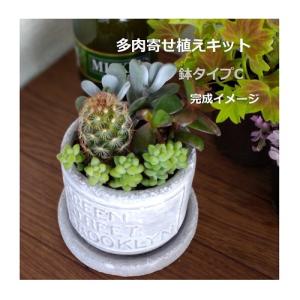 多肉植物の土 サボテン 多肉植物 の商品一覧 花 ガーデニング 通販 Yahoo ショッピング