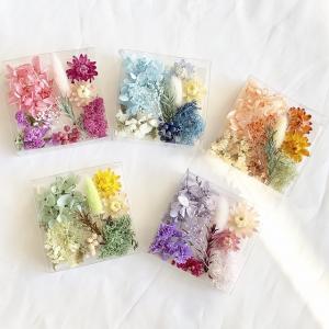 【ドライフラワー・プリザーブドフラワー】厳選花材...の商品画像