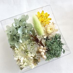 【ドライフラワー・プリザーブドフラワー】厳選花...の詳細画像4