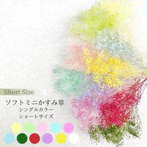 【プリザーブドフラワー】ソフトミニかすみ草 小分...の商品画像