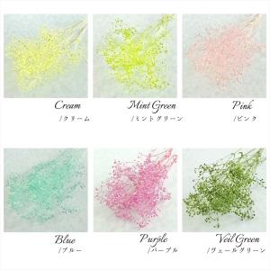 【プリザーブドフラワー】ソフトミニかすみ草 小...の詳細画像1