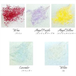 【プリザーブドフラワー】ソフトミニかすみ草 小...の詳細画像2