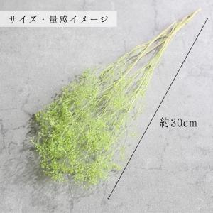 【プリザーブドフラワー】ソフトミニかすみ草 小...の詳細画像3