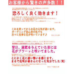 有機液体肥料 最高峰『多木有機液肥3号 2.5...の詳細画像3