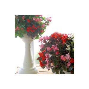 ●立体花壇を作ろう「スリットプランター」（寄せ植え 春 プランター　鉢　ガーデングッズ 寄せ植え）｜hanaururu