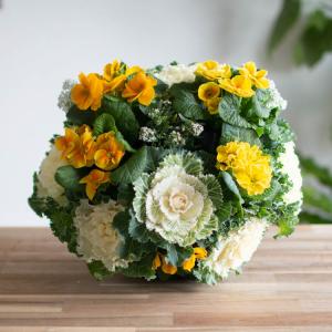 お正月飾り 葉ボタンのハンギングバスケット寄せ植え[黄] Mサイズ│葉牡丹 ビオラ 正月 しめ縄 しめ飾り しめ縄飾り 屋外 おしゃれ 正月飾り 洋風 玄関