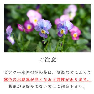 ＼12/28(月)正午まで年内発送受付/正月飾...の詳細画像2