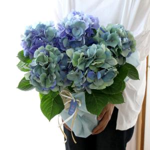 秋色アジサイの匠 鬼木氏 の極レア秋色アジサイ 品種 おまかせ アドレアなど 4 5号鉢 アンティーク 秋色 紫陽花 ハイドランジア あじさい 鉢植え Hati Ajisai Adorea4 2 花うるる ハンギング 寄せ植え通販 通販 Yahoo ショッピング