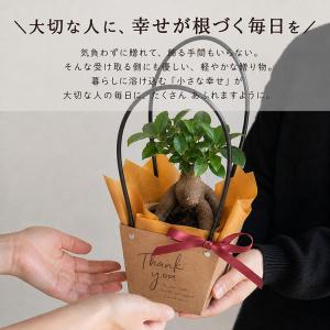 ＼まだ間に合う敬老の日ギフト/ 花うるる 選べ...の詳細画像1