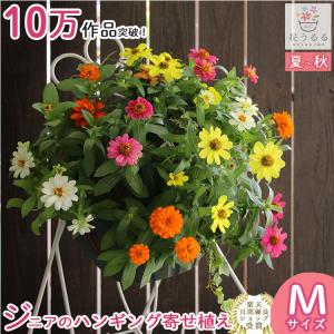 寄せ植え ハーバリウム おしゃれなハンギングバスケット ギャザリングをギフトやプレゼントから玄関やベランダやインテリアに 花うるる ヤフー店