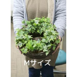 「ロングアイビーのナチュラル リング」直径30...の詳細画像4
