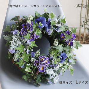 花うるる リース 寄せ植え [アレンジ Lサイ...の詳細画像5