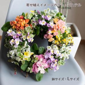 ＼花うるる おまかせ/「季節の寄せ植えinアレ...の詳細画像5