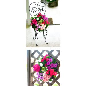 リース形のキュートな寄せ植え「ニチニチソウのハ...の詳細画像3