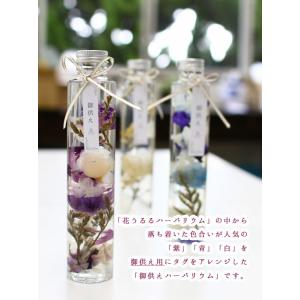 [お供え ハーバリウム]3色から (ハーバリウ...の詳細画像1