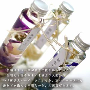 [お供え ハーバリウム]3色から (ハーバリウ...の詳細画像2