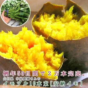 サツマイモ 苗 販売『中尾農園さんの安納芋 苗...の詳細画像3