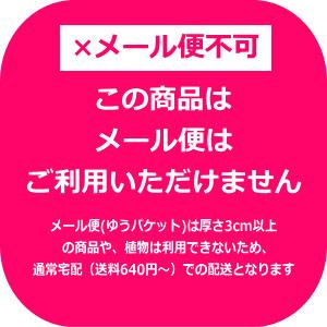 サツマイモ 苗 販売『中尾農園さんの紅きらら ...の詳細画像3