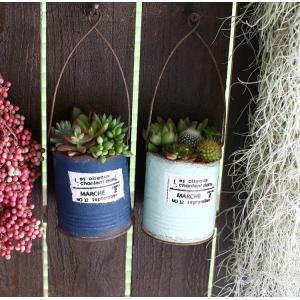 最終処分価格 売り尽くし 多肉植物 寄せ植え おしゃれ 空き缶型 ブリキ サボテン 観葉植物 ギフト 鉢 インテリア おしゃれ ハオルチア セダム エケベリア Kan Taniburi 02 2 花うるる ハンギング 寄せ植え通販 通販 Yahoo ショッピング