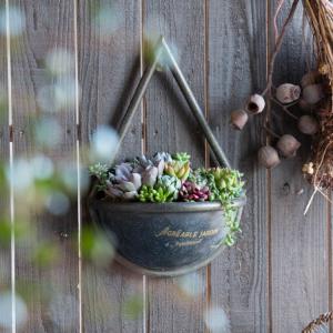 flower ＼現品限り／多肉植物 サボテン 寄せ植えセット『K』数量限定