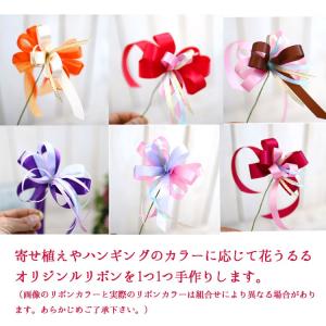 オプション ハンギング&寄せ植え専用 花うるる...の詳細画像1